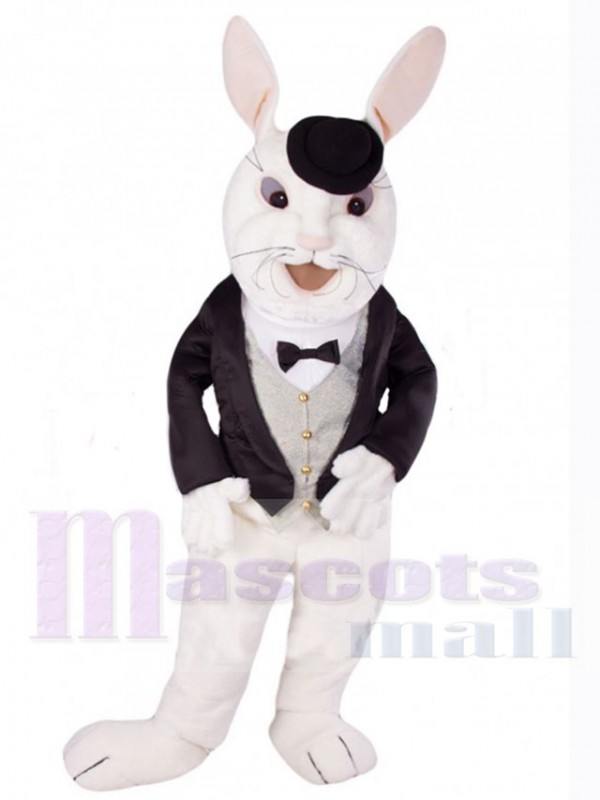 Easter Bunny Rabbit mascot costume