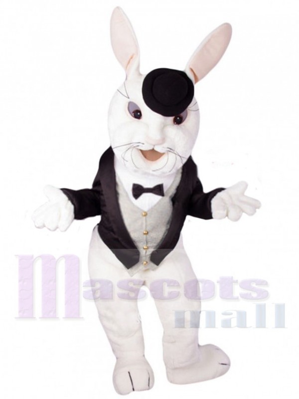 Easter Bunny Rabbit mascot costume