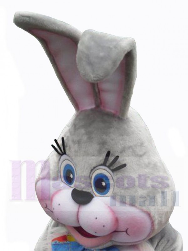 Easter Bunny Rabbit mascot costume