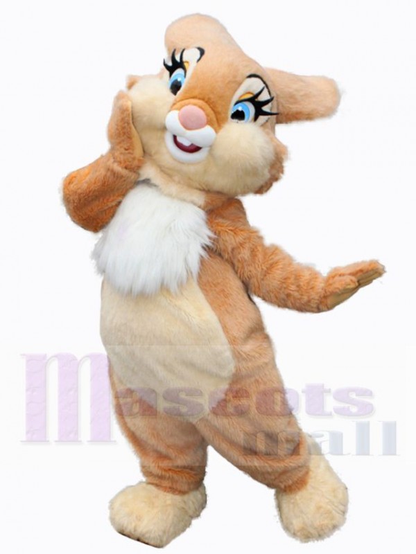 Easter Bunny Rabbit mascot costume