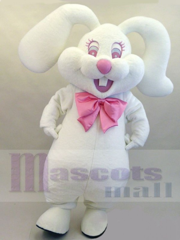 Easter Bunny Rabbit mascot costume