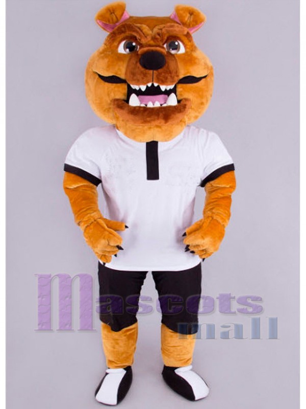 Tiger mascot costume