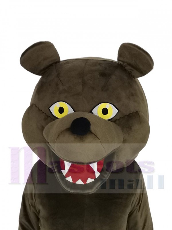 Grizzly Bear mascot costume
