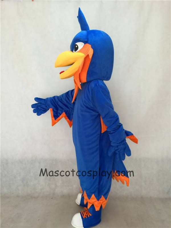Phoenix mascot costume