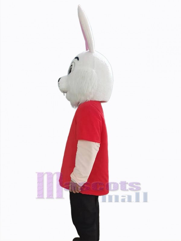 Easter Bunny Rabbit mascot costume