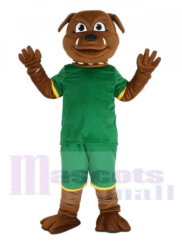 Brown Bulldog in Green Sweatshirt Mascot Costume
