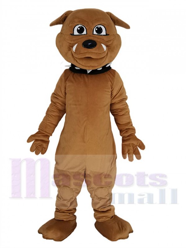 Bulldog mascot costume