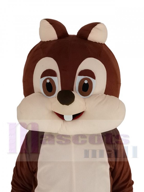Chipmunk mascot costume