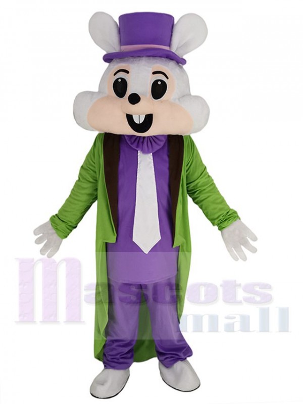 Easter Bunny mascot costume