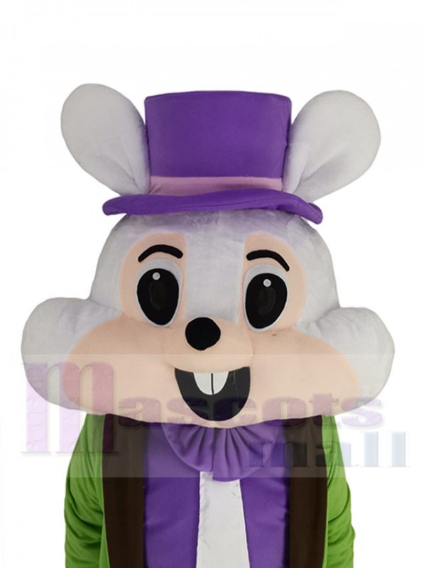 Easter Bunny mascot costume