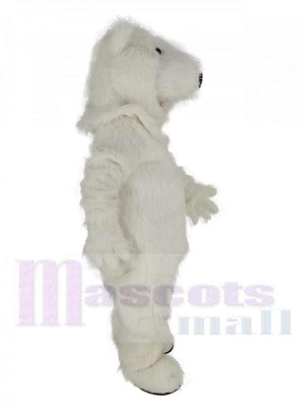 Polar Bear mascot costume