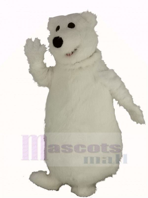 Giant Fat Polar Bear Mascot Costume