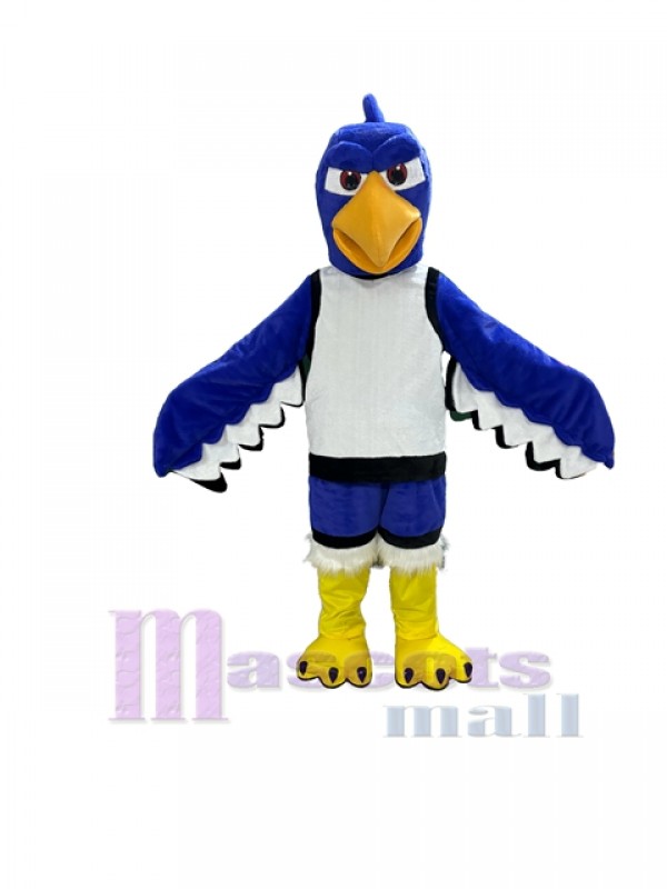 Seahawk mascot costume