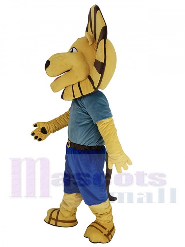 Lion mascot costume