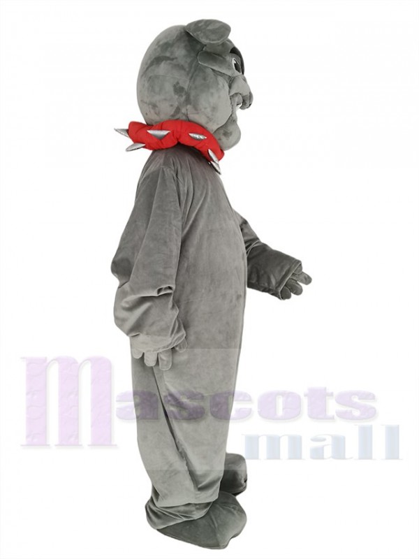 Bulldog mascot costume