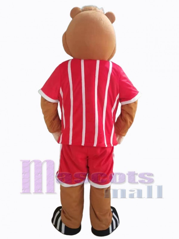 Bear mascot costume