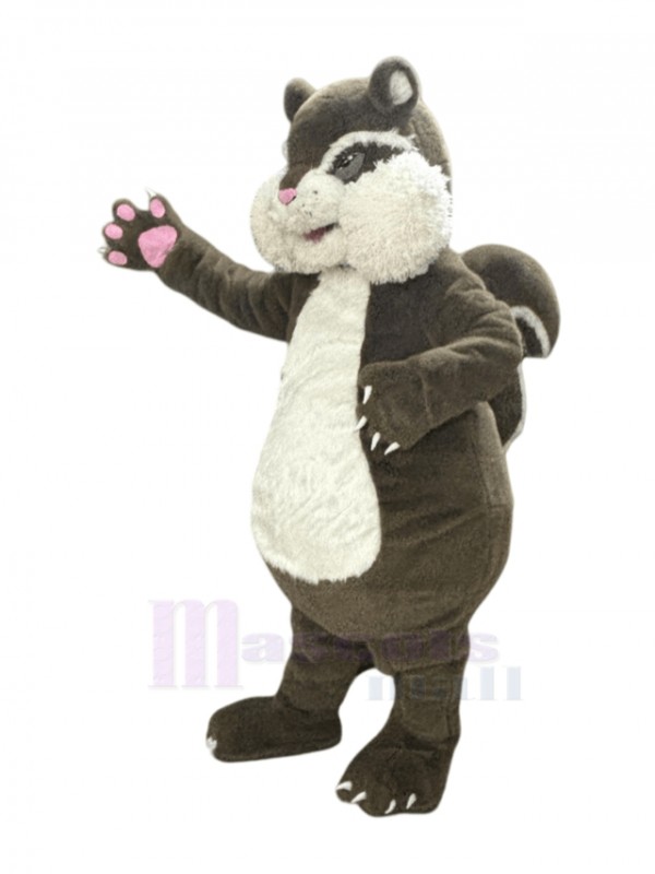 Squirrel mascot costume