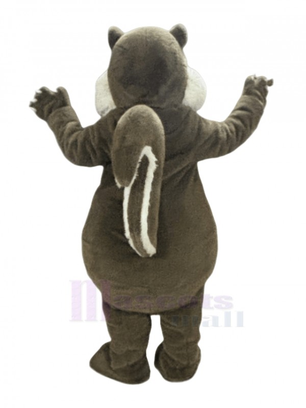 Squirrel mascot costume