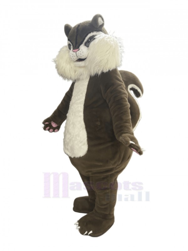 Squirrel mascot costume