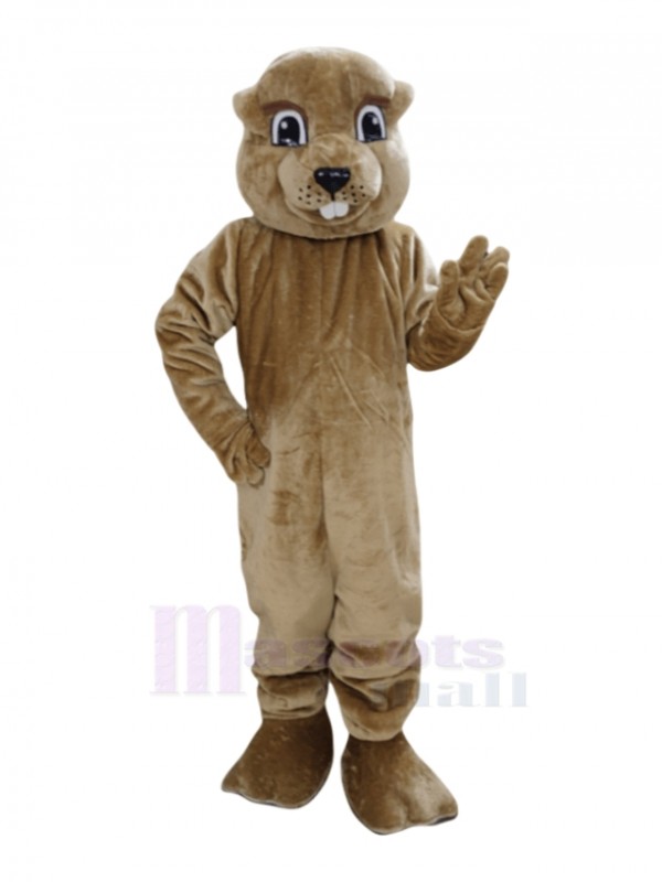 Groundhog mascot costume