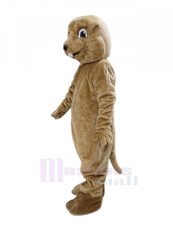 Groundhog mascot costume