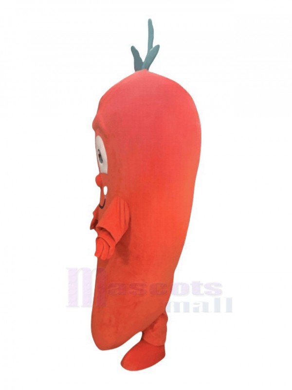 Carrot mascot costume