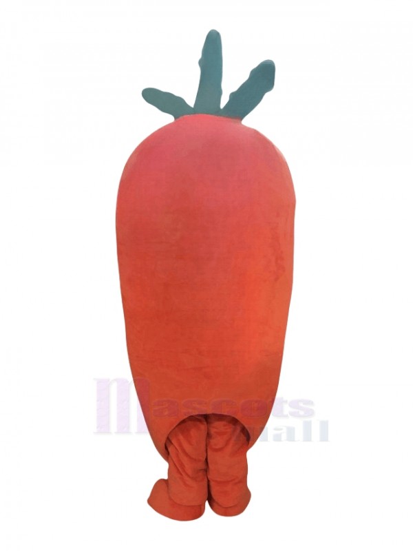 Carrot mascot costume