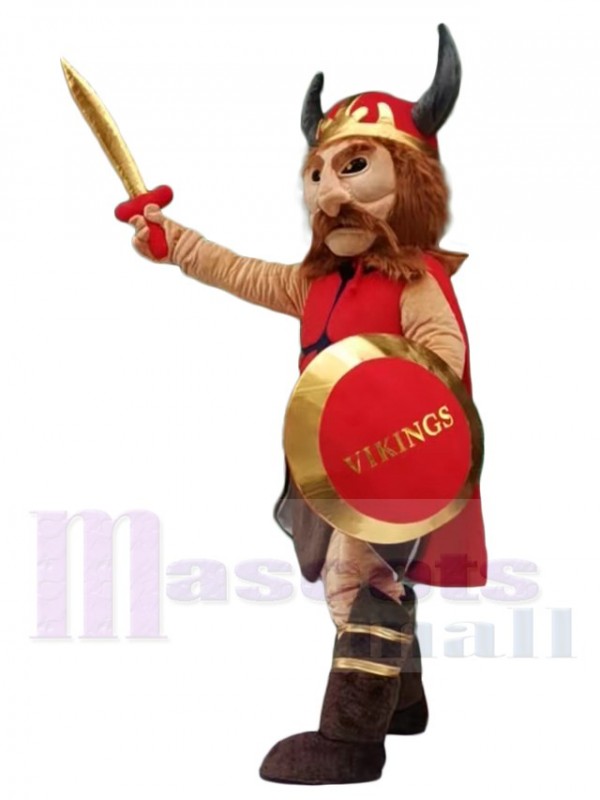 Viking Pirate mascot costume