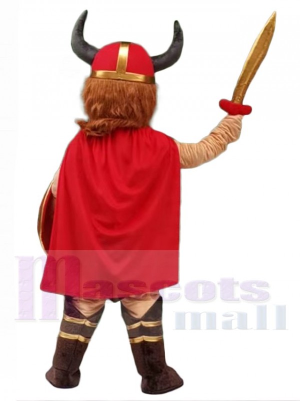 Viking Pirate mascot costume
