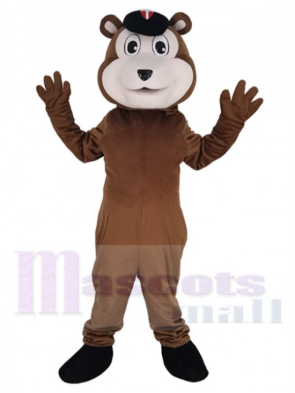 Bear mascot costume