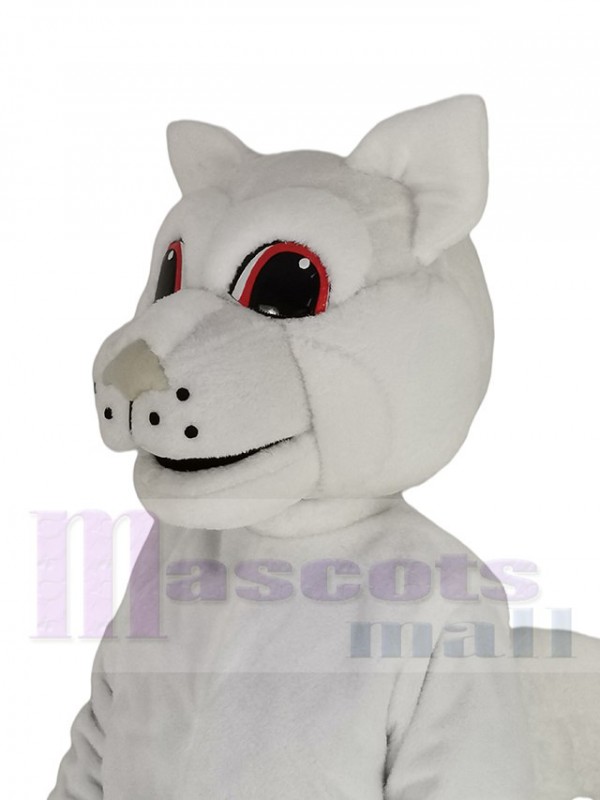 Squirrel mascot costume