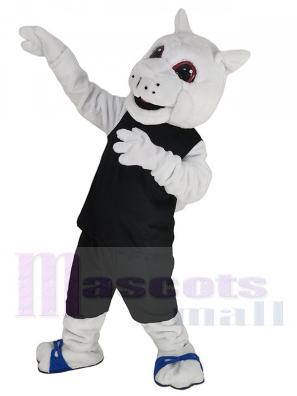Squirrel mascot costume