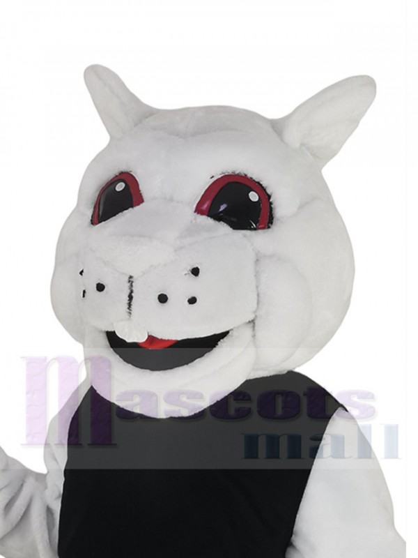 Squirrel mascot costume