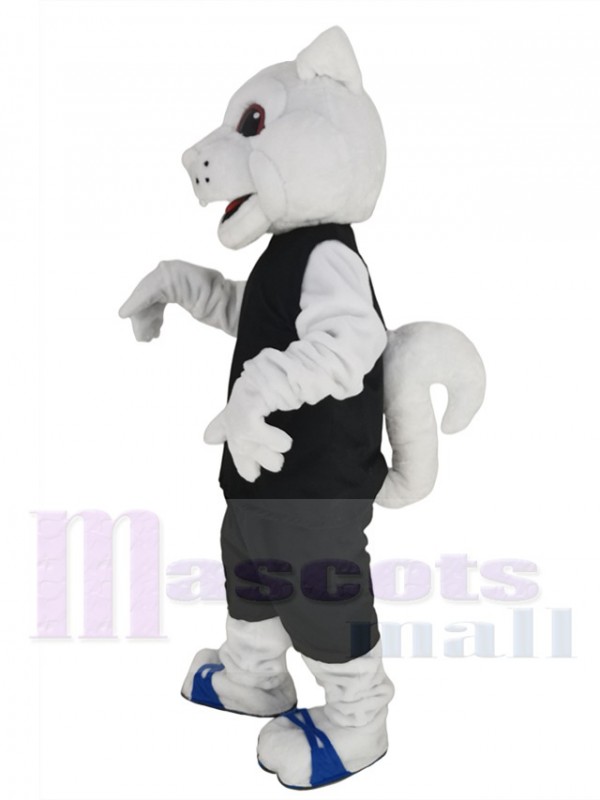 Squirrel mascot costume