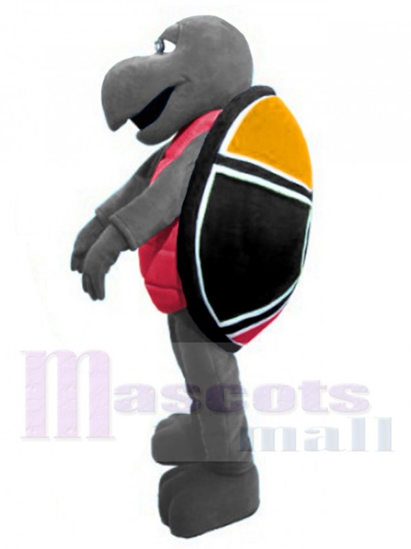 Turtle mascot costume