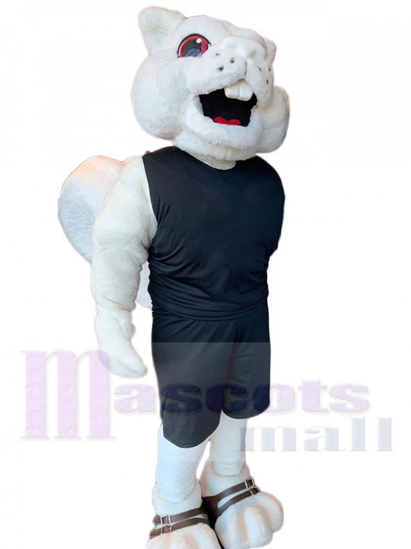 Squirrel mascot costume