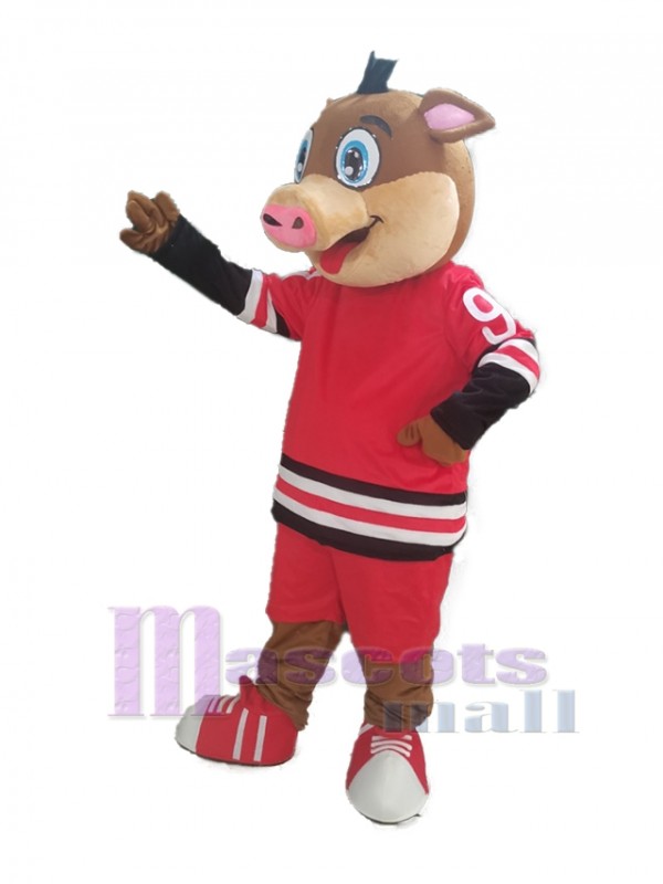 Boar mascot costume