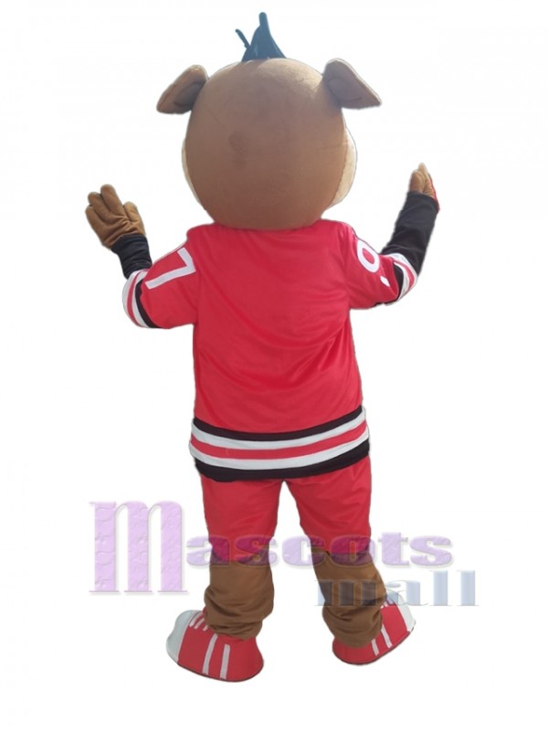 Boar mascot costume