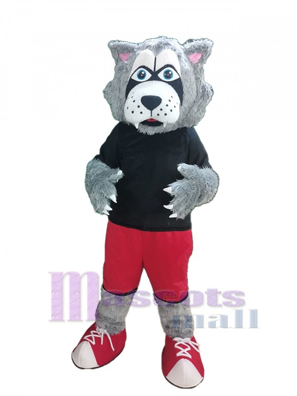 Wolf mascot costume