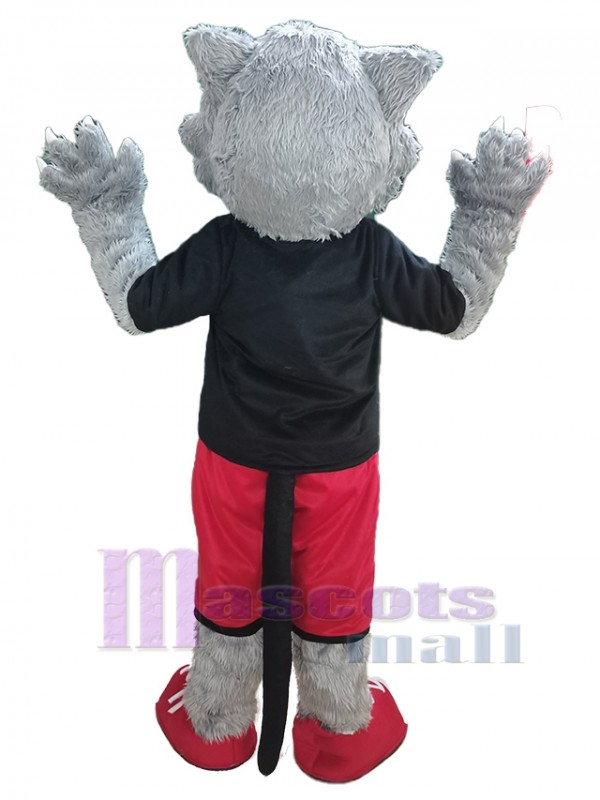 Wolf mascot costume