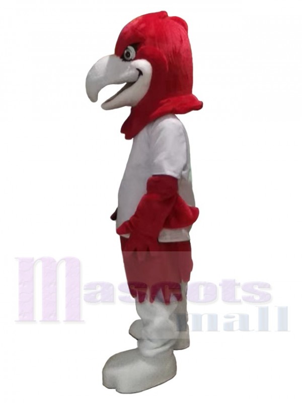 Eagle mascot costume