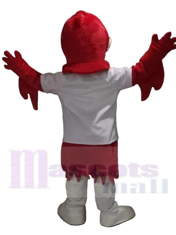 Eagle mascot costume