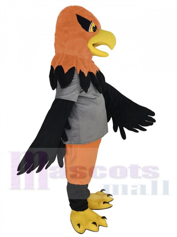 Hawk mascot costume