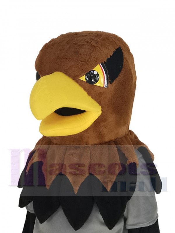 Hawk mascot costume