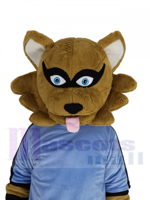 Raccoon mascot costume