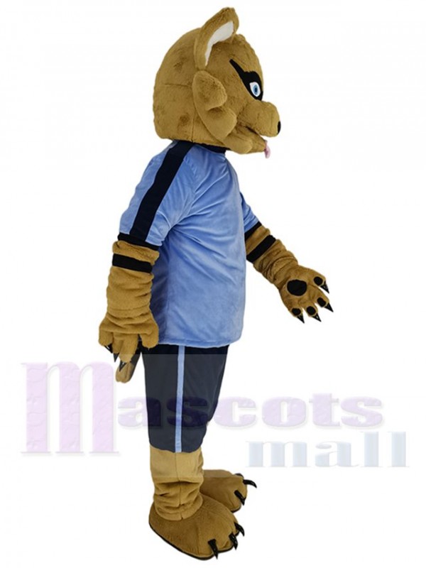 Raccoon mascot costume