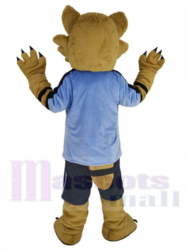 Raccoon mascot costume