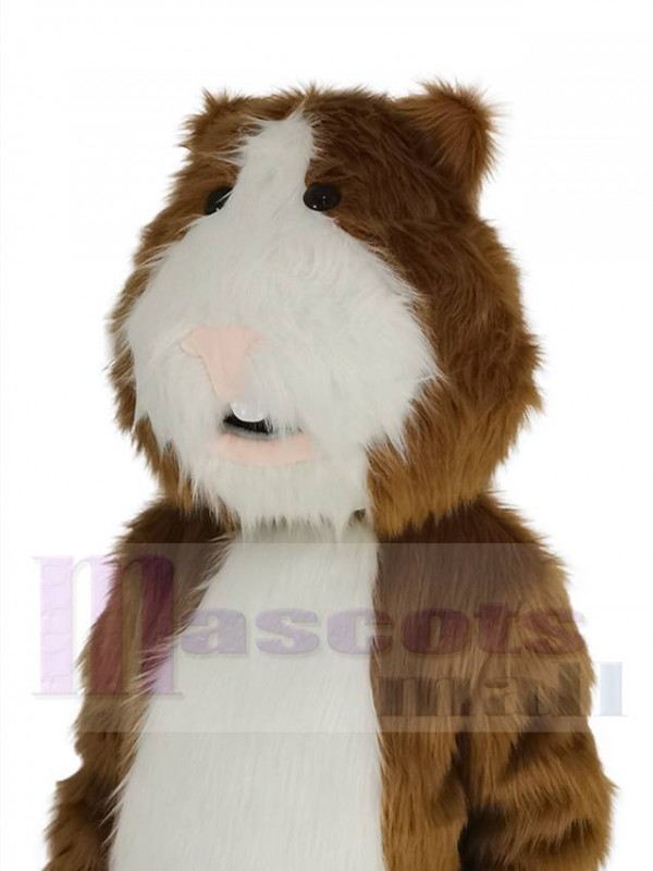 Hamster mascot costume