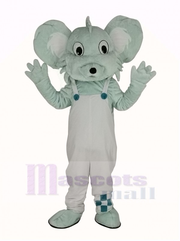 Grey Koala in White Coat Mascot Costume