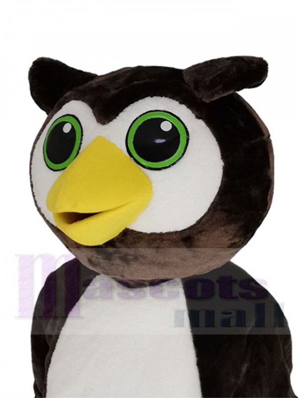 Owl mascot costume